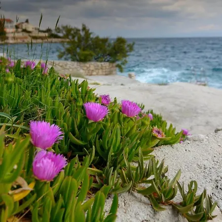 Miki Apartment Trogir